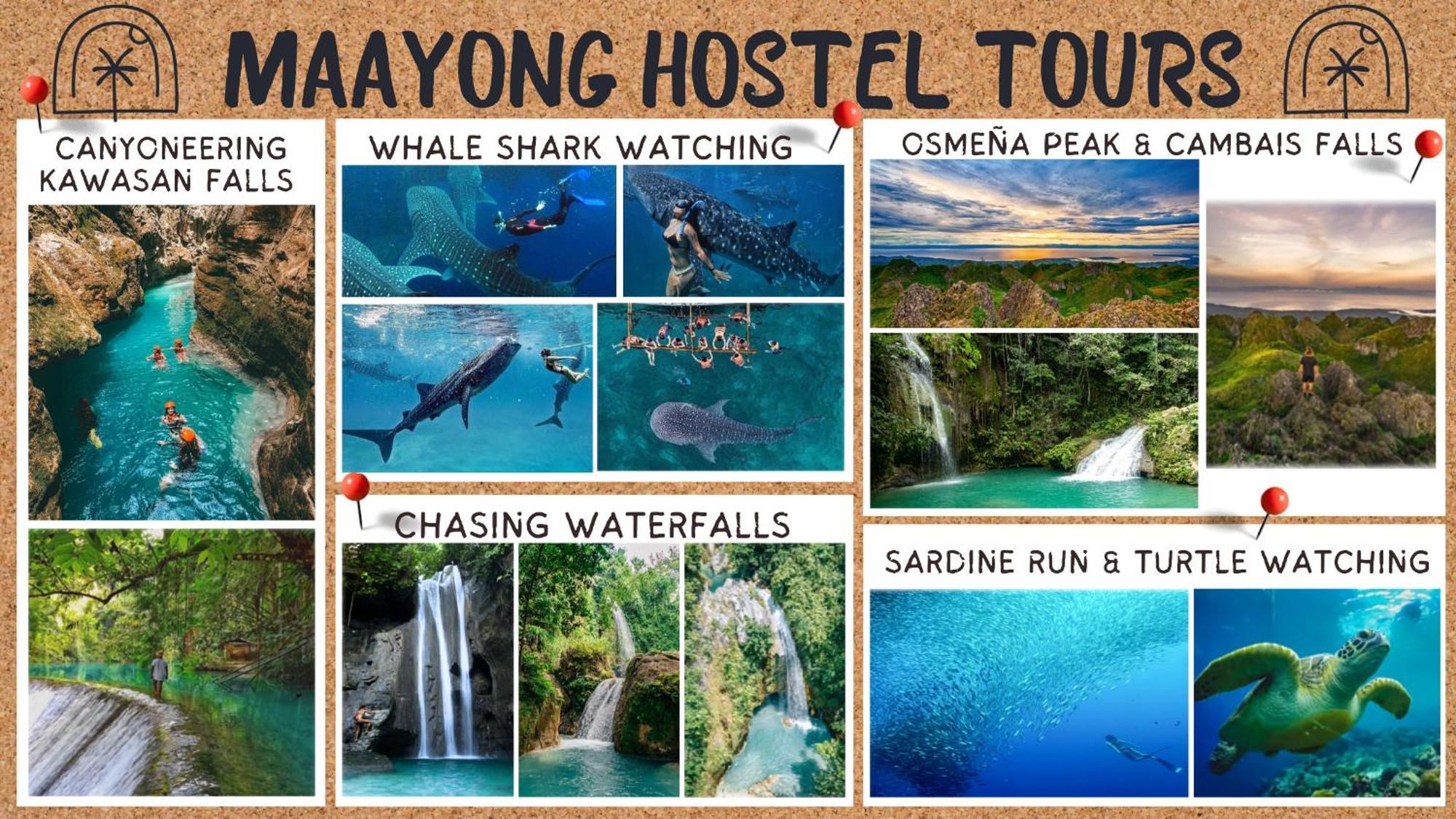 Maayong Hostel (Adults Only) Moalboal Kültér fotó